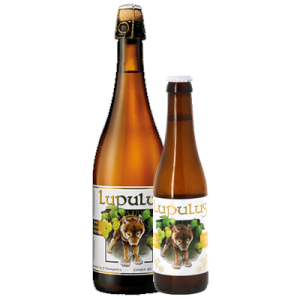 Birra Lupulus Blonde